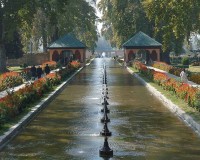 Shalimar garden